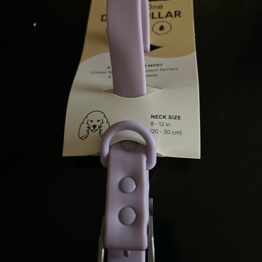 NWT Wild One Dog Collar